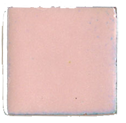 A-24 Carnation (op) - Product Image