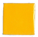 H-53 Corn (op)  - Product Image