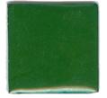 O-116 Fir Grenn (op) - Product Image