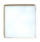 T-6 Polar White (op)  - Product Image