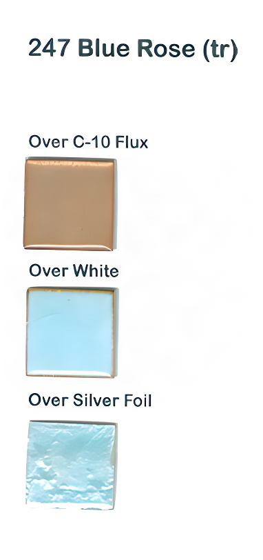 T-247 Blue Rose (tr)   - Product Image