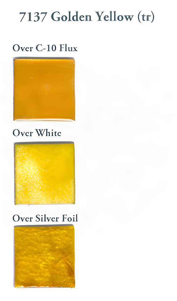 7137 Golden Yellow (tr) - Product Image